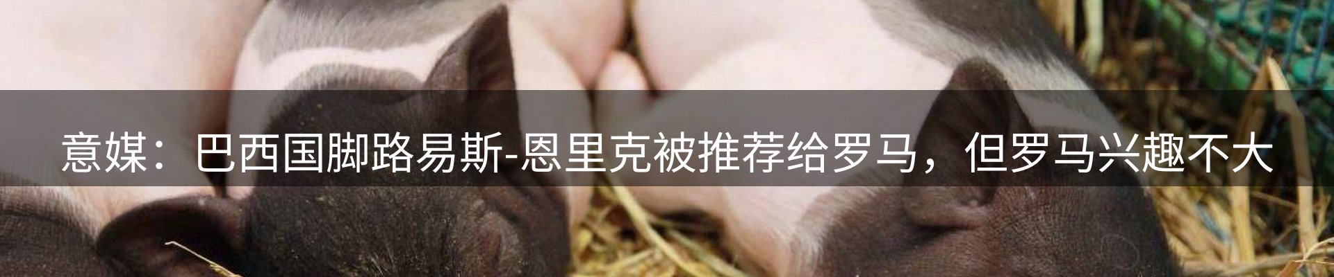 内页banner