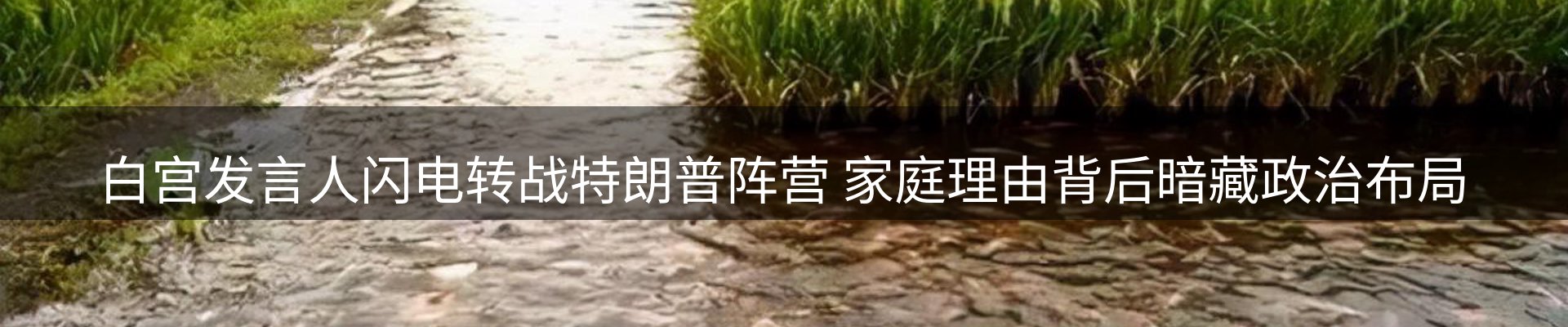 内页banner